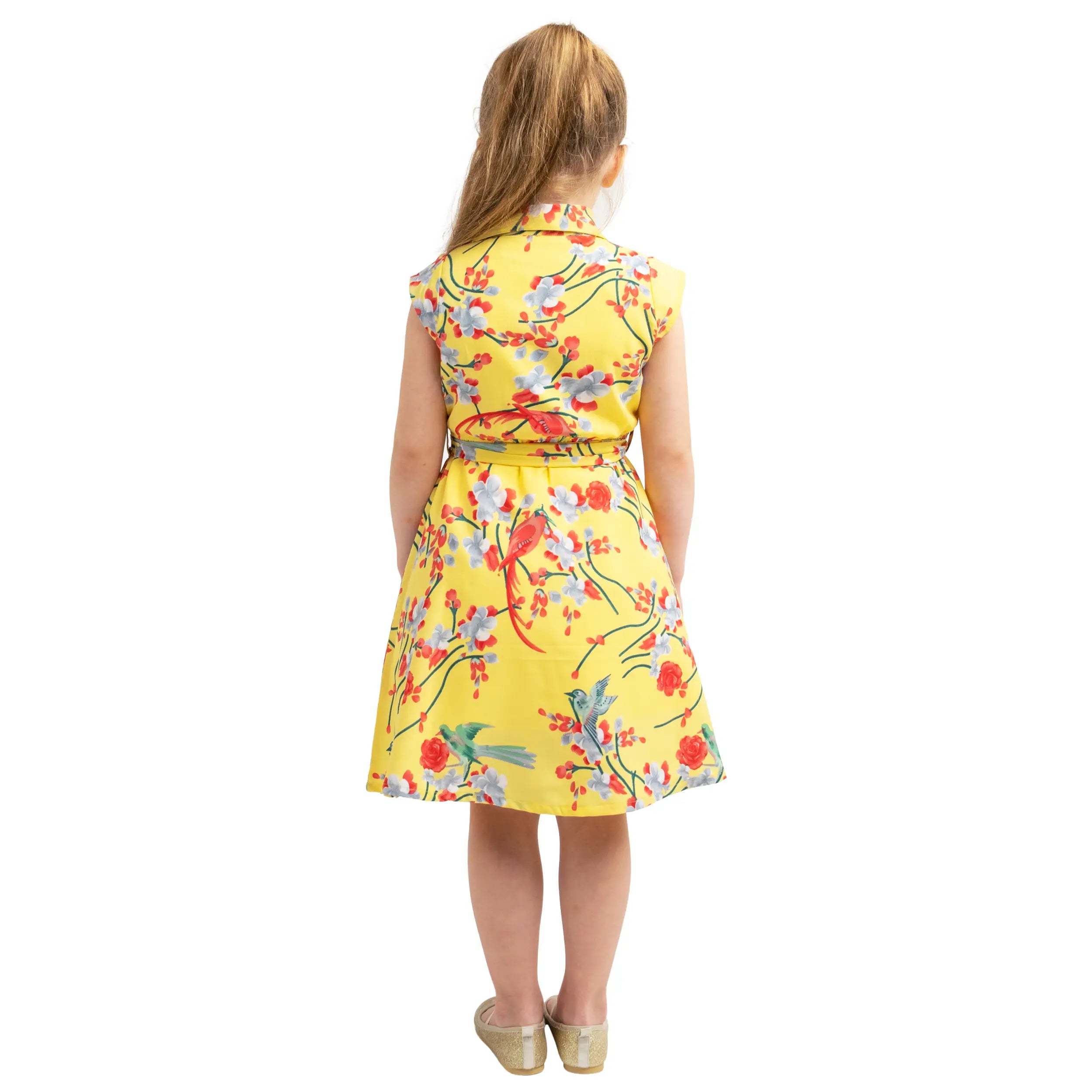 Girls Kids Vintage Style Collared Button down Dresses Bird Print - Available in 3 Colors
